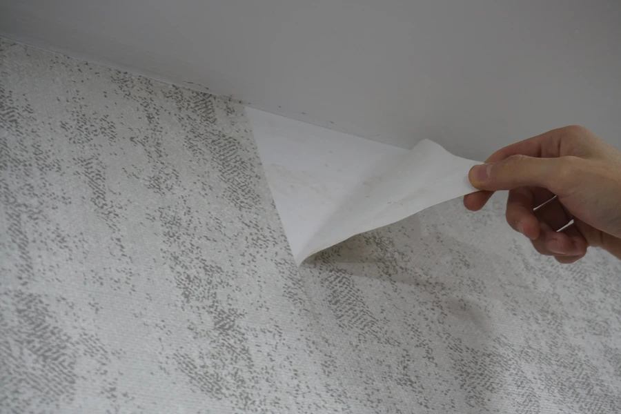 Expert Wallpaper Removal Alba, TX Expert Wallpaper Removal Alba, TX
